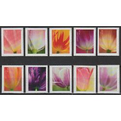 #5777-5786 Tulip Blossoms, Booklet Set of Ten Singles