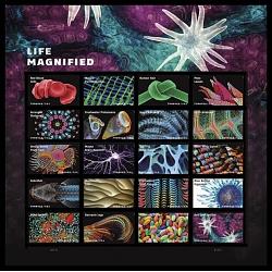 #5802 Life Magnified, Souvenir Sheet of Twenty Stamps