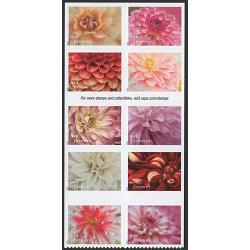 # Dahlias, Booklet Block of Ten