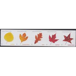 # Leaves, Strip of Five Leaves From Sheet (Postcard)