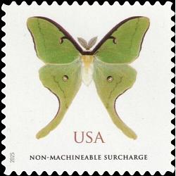 #6031 Luna Moth, Surcharge