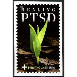 #B7 Healing PTSD