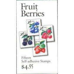 #BK276A Berries Vending Book