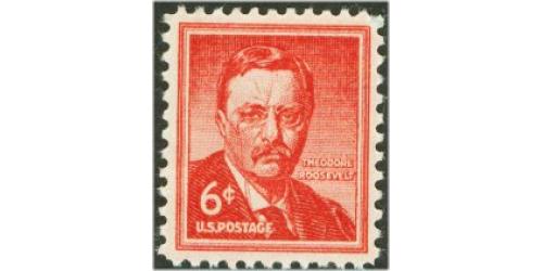 #1039 Teddy Roosevelt, Wet Printing