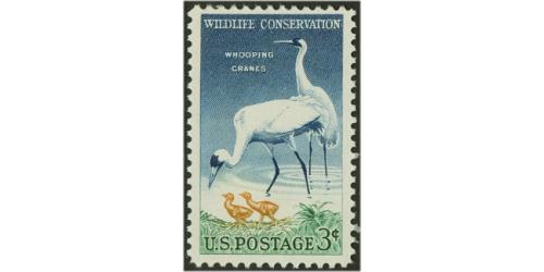 #1098 Wildlife Conservation, Whooping Crane