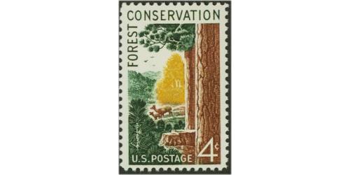 #1122 Forest Conservation