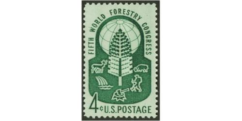 #1156 World Forestry Congress