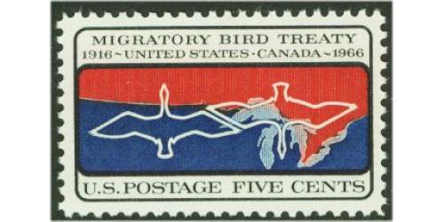 #1306 Migratory Bird Treaty