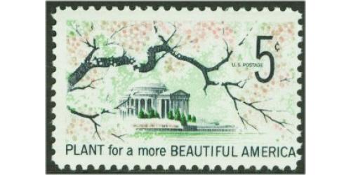 #1318a Beautification, Tagged