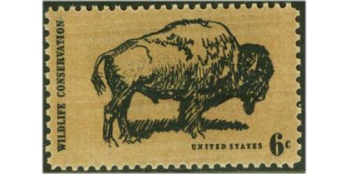 #1392 Buffalo