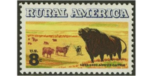 #1504 Rural America, Cattle