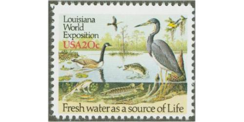 #2086 Louisiana Expo