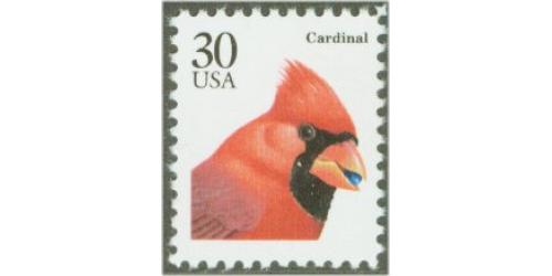 #2480 Cardinal