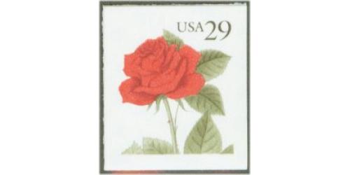 #2490 Red Rose, Booklet Single