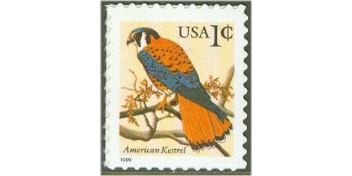 #3031 American Kestrel, Black 1999 Date, Die Cut 10¼