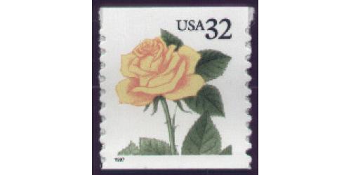 #3054 Yellow Rose, Coil