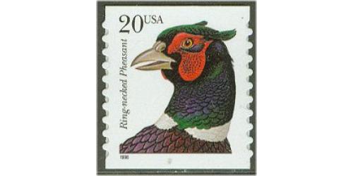 #3055 Ring Neck Pheasant, Coil