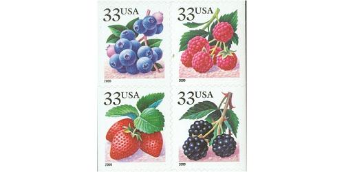 #3294a-97a  Fruit Berries, Set of Four Singles, 11¼x11½ 2000 Year Date
