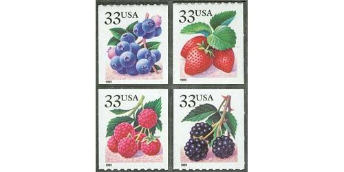 #3298-3301 Fruit & Berries, Set of 4 Singles, 9½x10 1999 Year Date