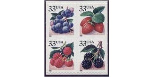 #3301d Fruit Berries, Block of Four from Vending Book