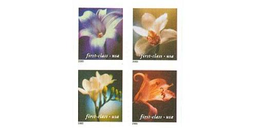 #3454-57 Four Flowers, Set of Four Singles 10½x10¾