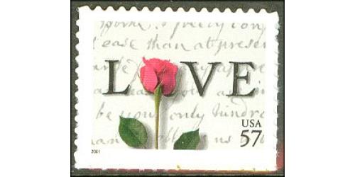 #3551 Rose & Love Letter