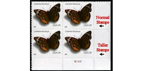 #4001vt Common Buckeye, Taller Variety Plate Block of Four
