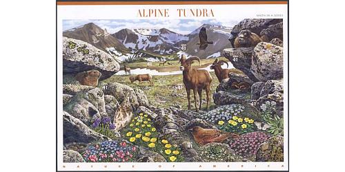 #4198 Alpine Tundra, Nature of America Souvenir Sheet