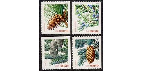 #4482-85 Holiday Evergreens (Forever Stamp) ATM Set of Four Singles