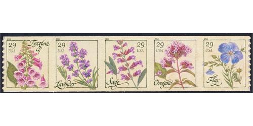 #4513-17 Herbs, Set of Five Coil Singles