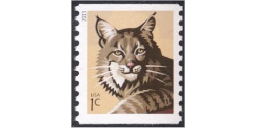 #4802 Bobcat, Coil (2013)