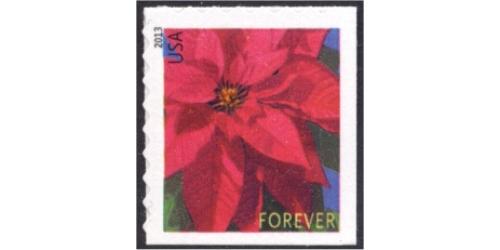 #4821 Poinsettia Plant, ATM