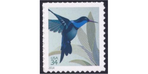 #4857 Hummingbird, Die Cut 11¼x10¾