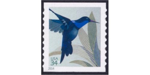 #4858 Hummingbird, Coil Die Cut 9½