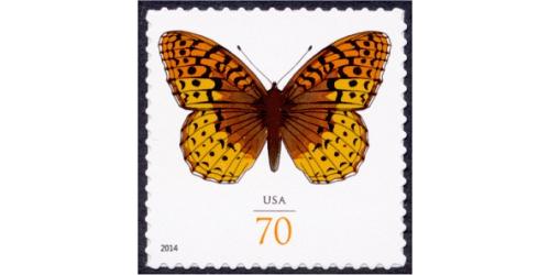 #4859 Great Spangled Fritillary Butterfly