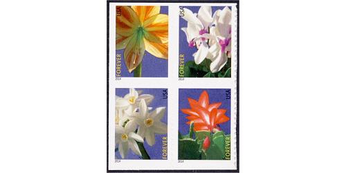 #4865a Winter Flowers, Block of Four