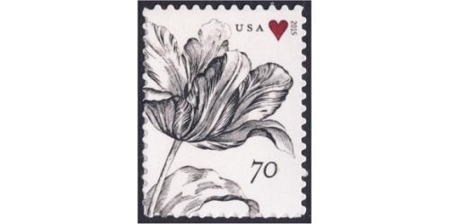 #4960 Vintage Tulip
