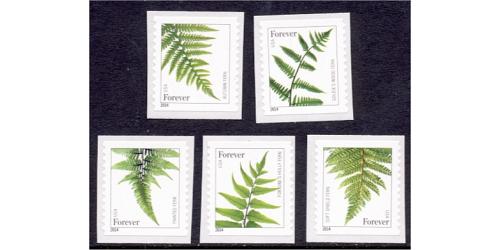 #4973-77 Ferns Forever 2015, Set of Five Singles