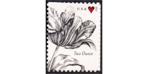 #5002 Vintage Tulip and Heart, Reissue