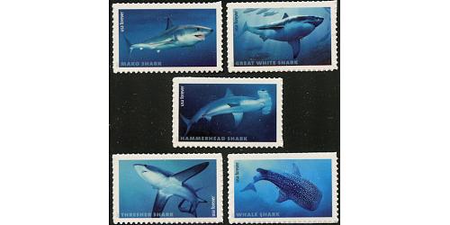 #5223-27 Sharks, Set of Five Singles