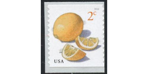 #5256 Meyer Lemons, Coil