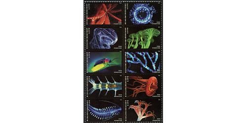 #5273a Bioluminescent Life, Block of Ten Stamps
