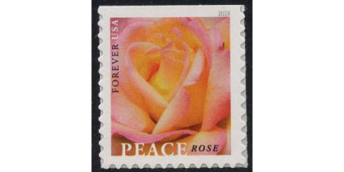 #5280 Peace Rose, Booklet Single