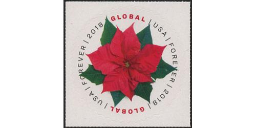 #5311 Poinsettia, Global