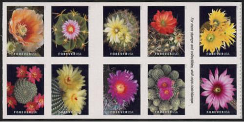#5359a Cactus Flowers, Block of Ten