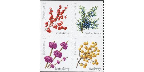 #5418a Winter Berries, Block of Four