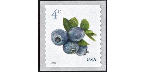 #5653 Blueberries, Coil Stamp
