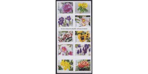 #5736a Snowy Beauty, Block of Ten Stamp