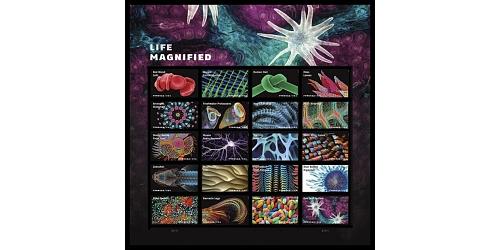 #5802 Life Magnified, Souvenir Sheet of Twenty Stamps