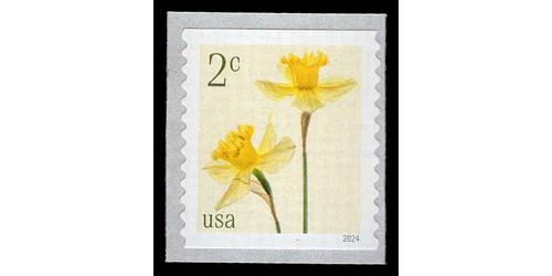 #5903 2¢ Daffodils, Coil